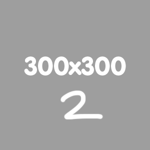 300x300 2