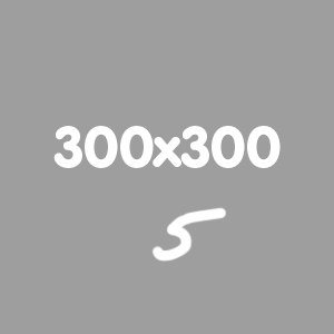 300x300 5